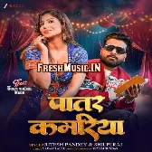 Patar Kamariya (Ritesh Pandey, Shilpi Raj)