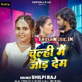 Chulhi Me Jor Dem (Shilpi Raj)