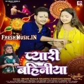 Pyari Bahiniya (Shani Kumar Shaniya,Shivani Singh)